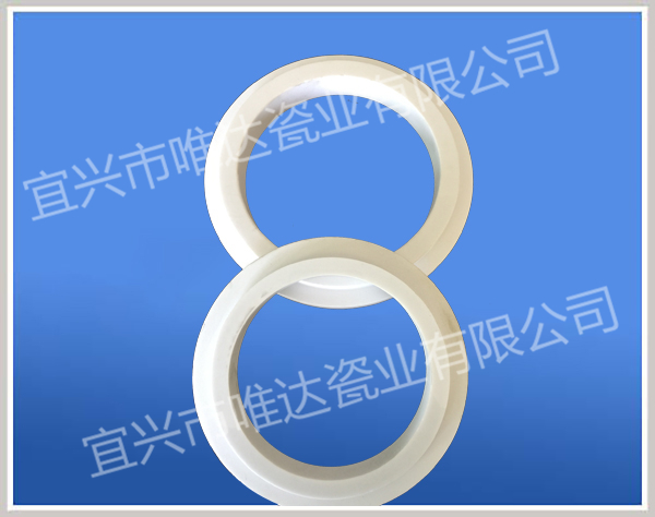 大型陶瓷密封環